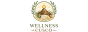 logo wellness cusco – bienestar y espiritualidad en los andes del perú